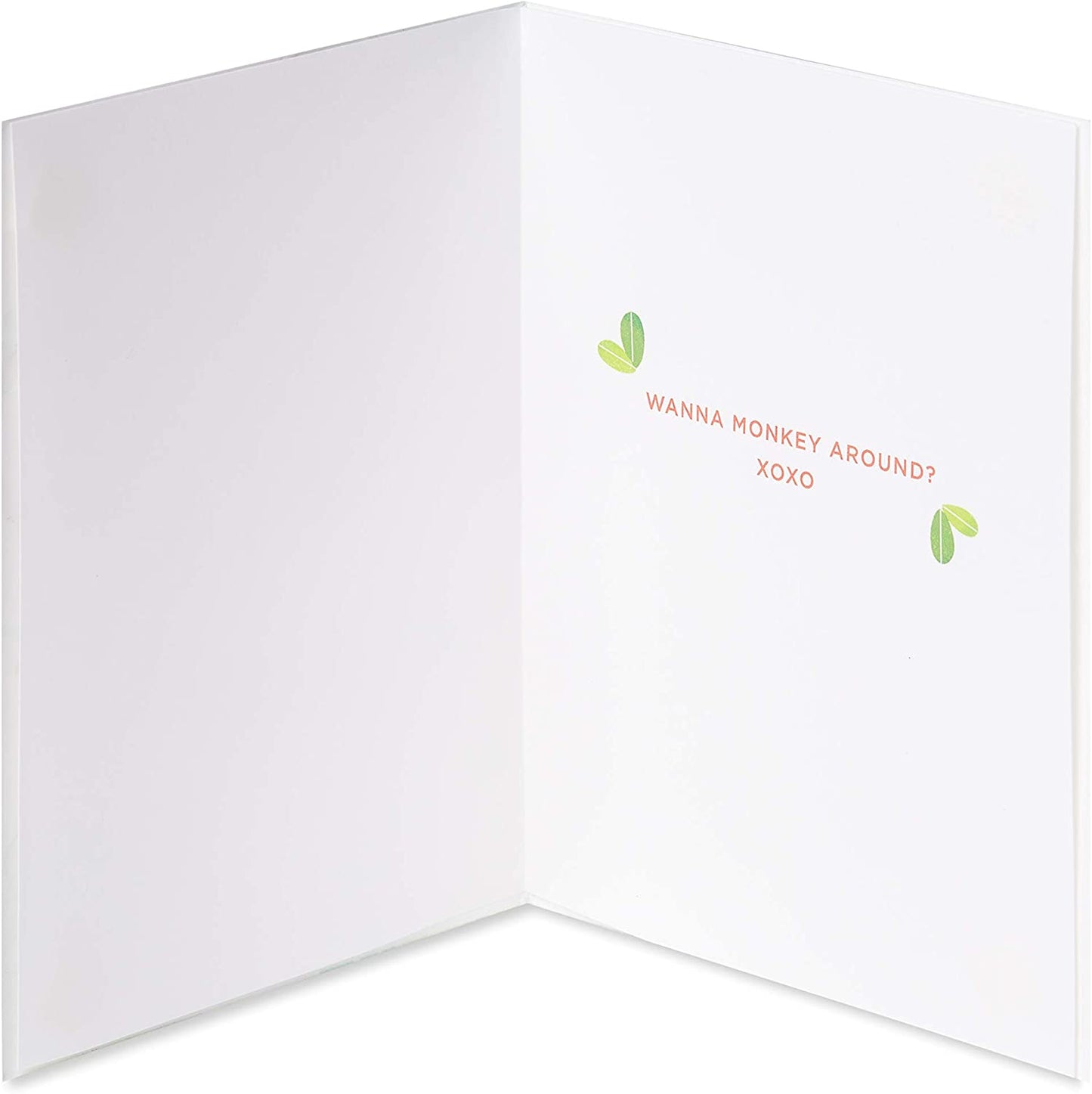 Papyrus Funny Birthday Card for Husband (Monkey Around)