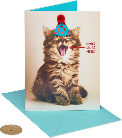 Papyrus Funny Cat Birthday Card (Indulge)