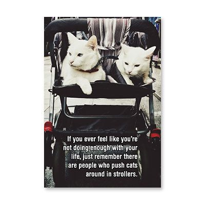 CATS IN STROLLER BIRTHDAY CARD BY RPG