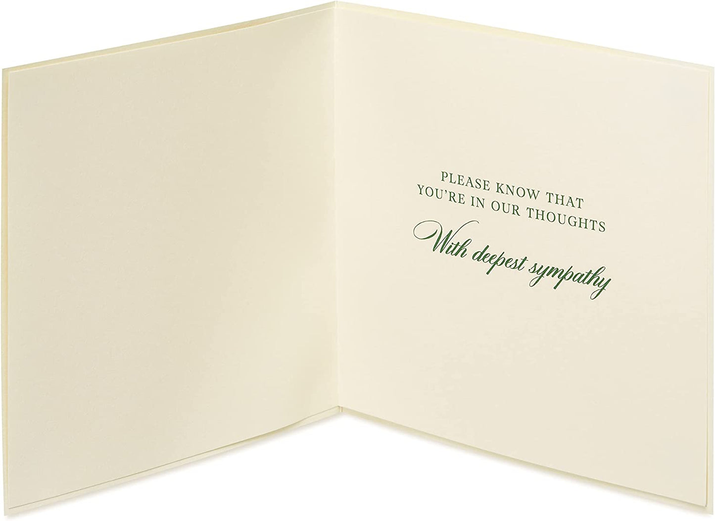 Papyrus Sympathy Card (You're In Our Thoughts)