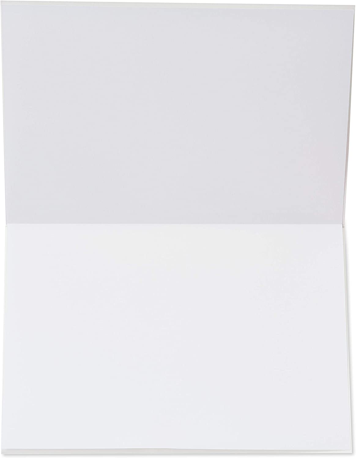 Papyrus Blank Thank You Card (Many Thanks)