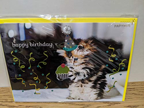 PAPYRUS Conventional Cards Birthday Cat with Cupcake, 1 Each
