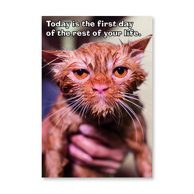 PHOTO WET CAT FIRST DAY BIRTHDAY CARD BY RPG