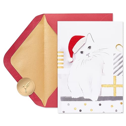 Papyrus Boxed Christmas Cards with Envelopes, Merry Christmas and a Happy New Year, Santa Hat Kitty (8-Count)