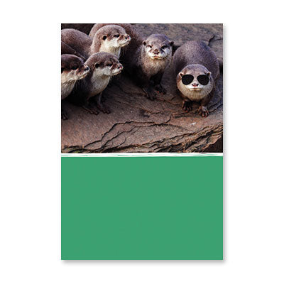 NOT LIKE OTTERS BIRTHDAY CARD BY RPG
