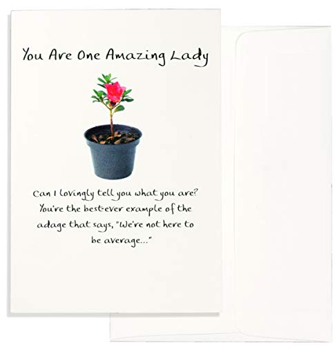Blue Mountain Arts Greeting Card for a Woman
