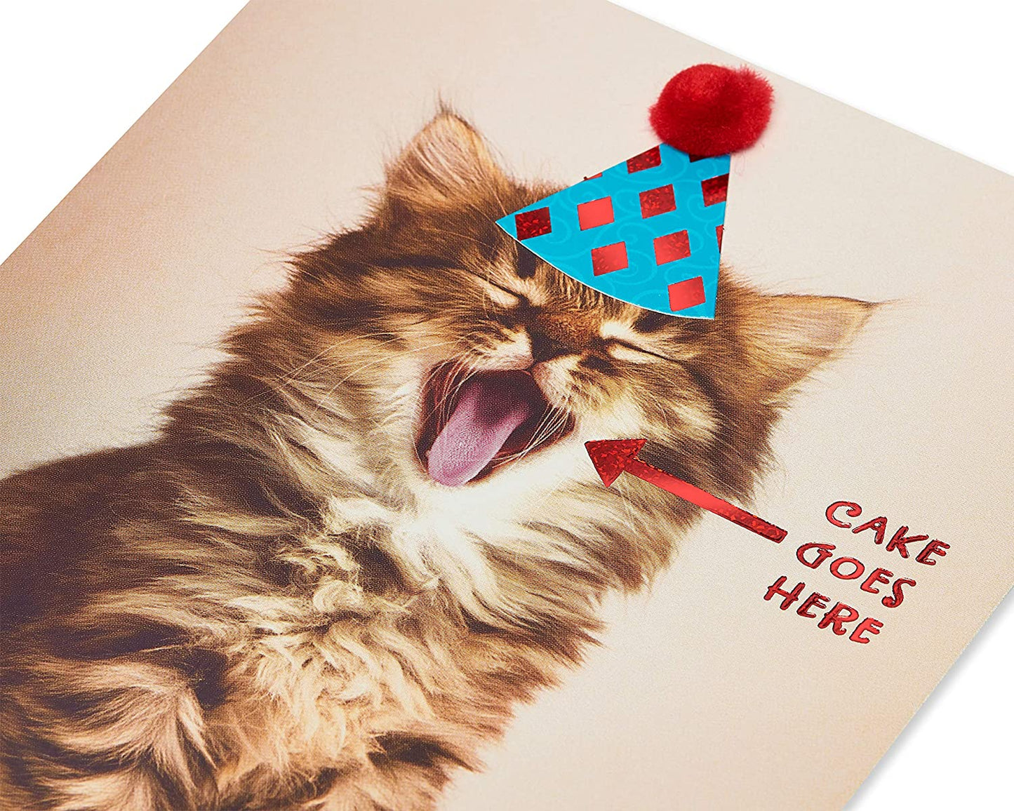 Papyrus Funny Cat Birthday Card (Indulge)