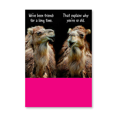 TWO CAMELS FRIENDS LONG TIME BIRTHDAY CARD BY RPG
