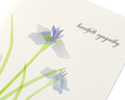 Papyrus Sympathy Card (Our Deepest Sympathy and Our Love)