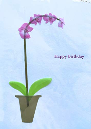 PAPYRUS Card Everyday, birthday Card, 1 Each,