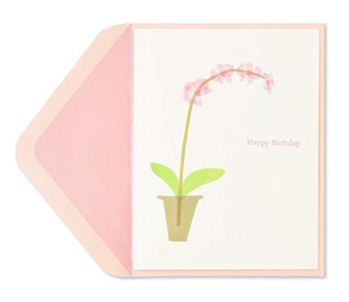 Papyrus Birthday Cards Pink Orchid, 1 EA