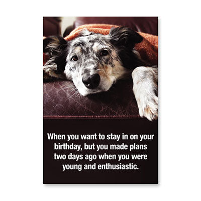 PHOTO OF DOG ON COUCH BIRTHDAY CARD BY RPG