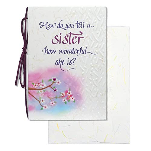 Blue Mountain Arts Sister Card—Birthday Card, Just Because Card, Thank You Card, Holiday Card, Any Occasion Card (How do you tell a sister how wonderful she is?)