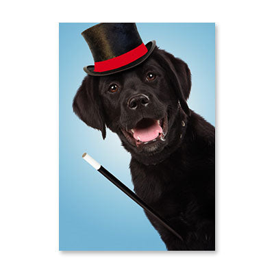 LAB W WAND AND HAT BIRTHDAY CARD BY RPG