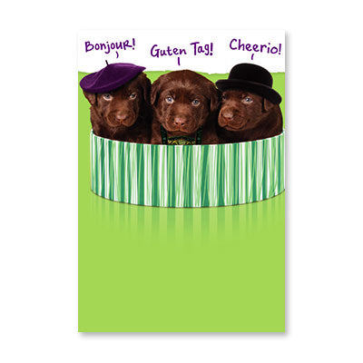 3 CHOCOLATE LABS BIRTHDAY CARD BY RPG