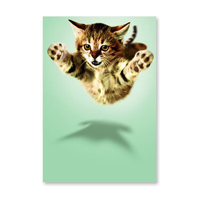 HUGGING KITTEN BIRTHDAY CARD BY RPG