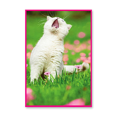 WHITE CAT MEOWING BIRTHDAY CARD BY RPG