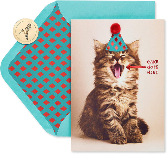 Papyrus Funny Cat Birthday Card (Indulge)