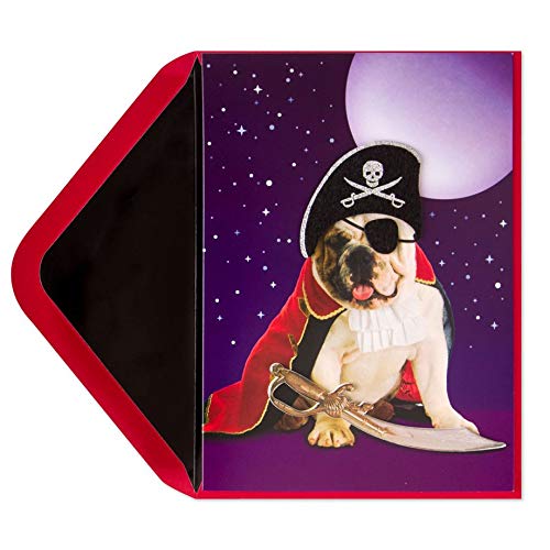 PAPYRUS Pirate Dog, 1 Each