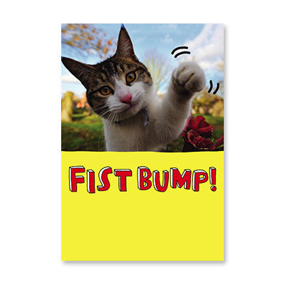 FISTBUMP CAT CARE CARD BY RPG