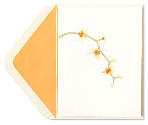 PAPYRUS Card Everyday, 1 EA