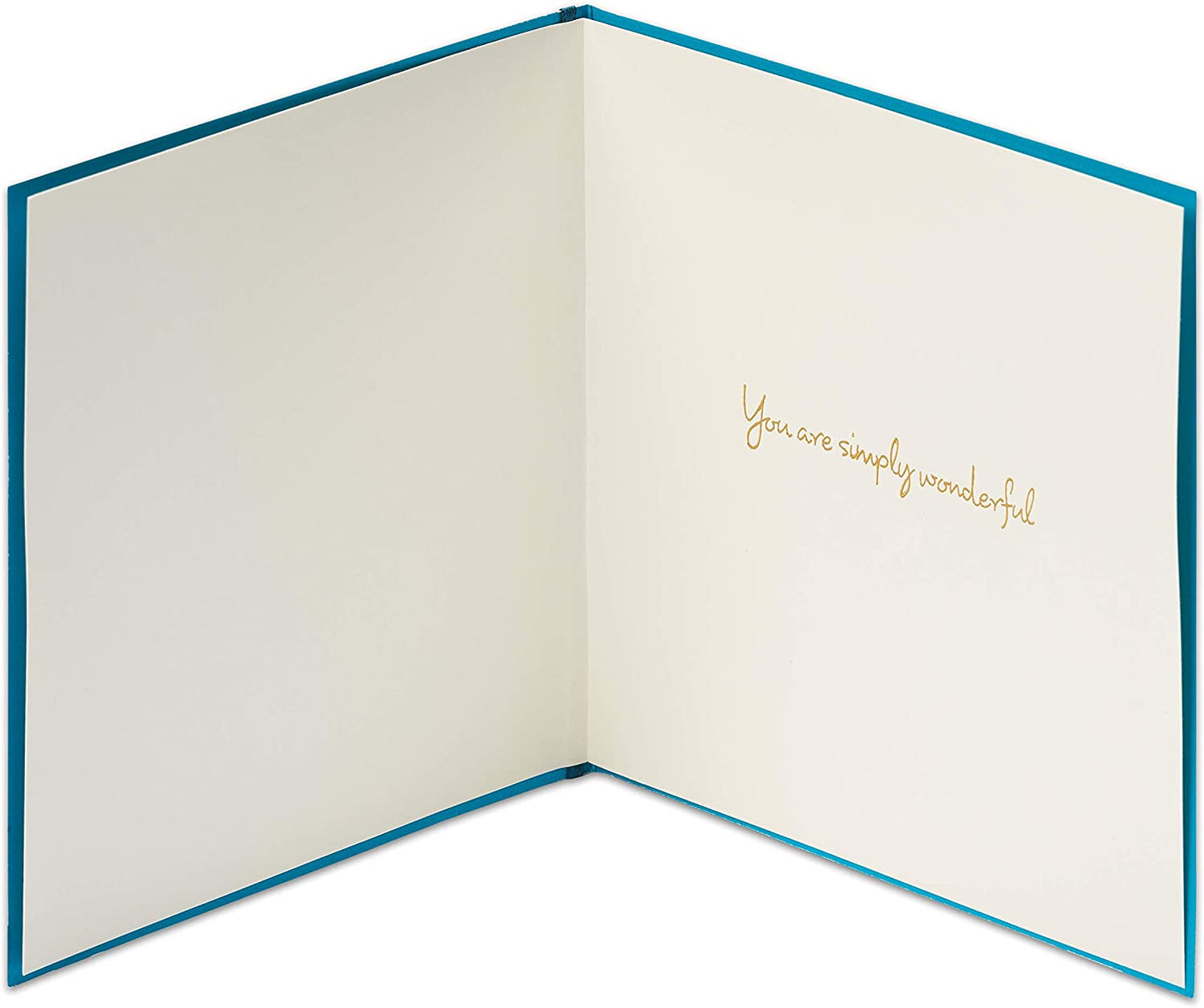 Papyrus Thank You Card (Simply Wonderful)