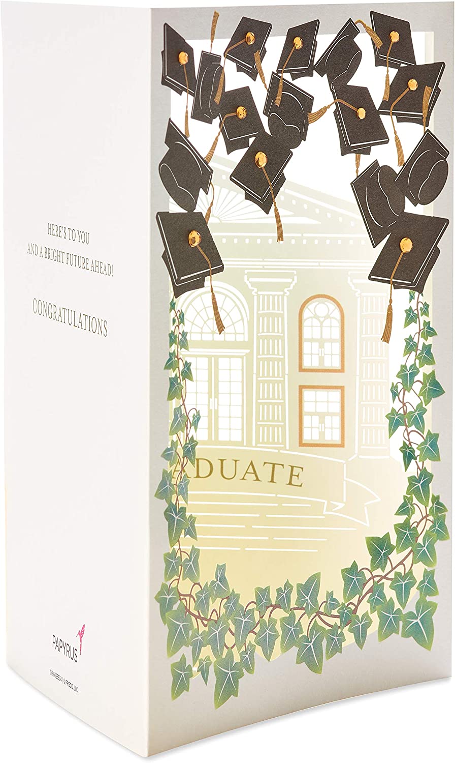 Papyrus Graduation Card (Bright Future, Lasercut Grad Cap)